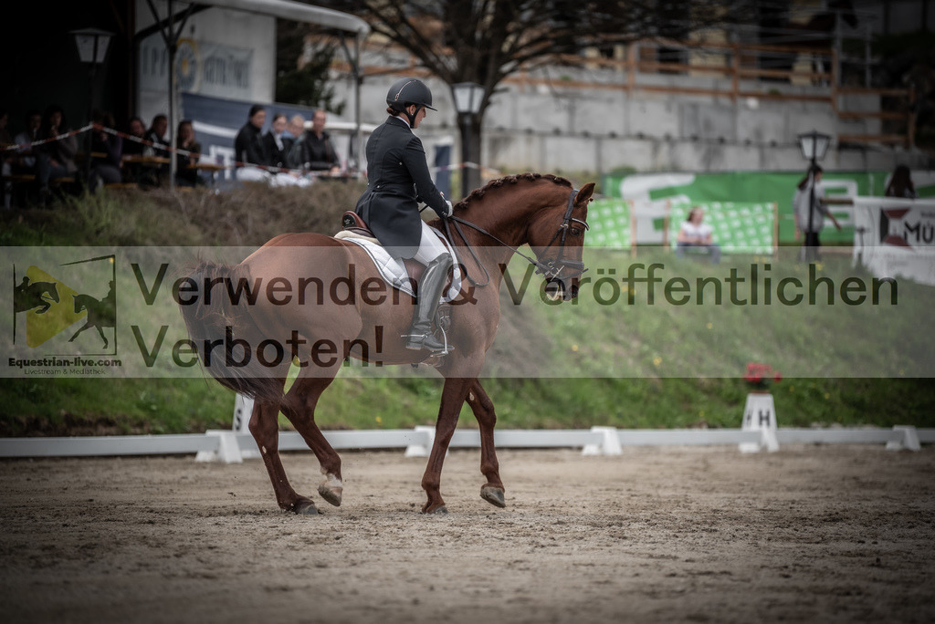DSC_2618 | equestrian-live-com