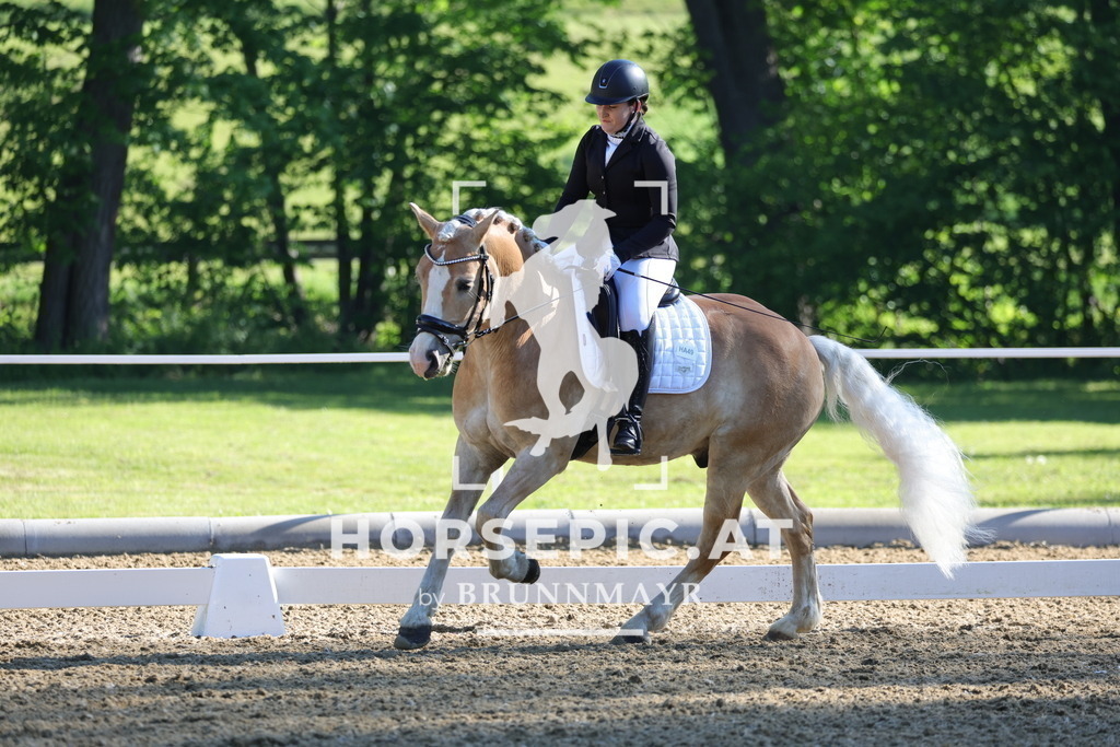 0P6A9353 | Willkommen bei Brunnmayr - Design & Fotografie – Ihrem Spezialisten für Reitturniere und Pferdeveranstaltungen in Oberösterreich, Salzburg und Bayern! Seit über 17 Jahren sind wir leidenschaftlich dabei.