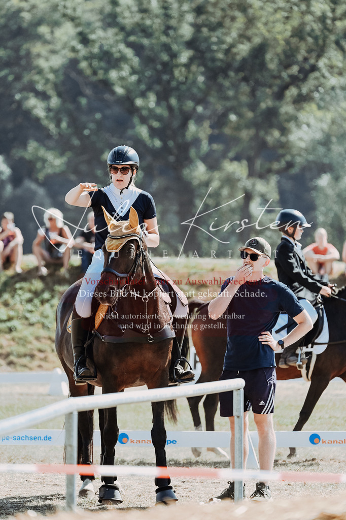 DSC_9629 | Pferde- und Turnierfotografie in Westsachsen. Pferdeportraits, Auftragszeichnungen und intuitive Kunst.