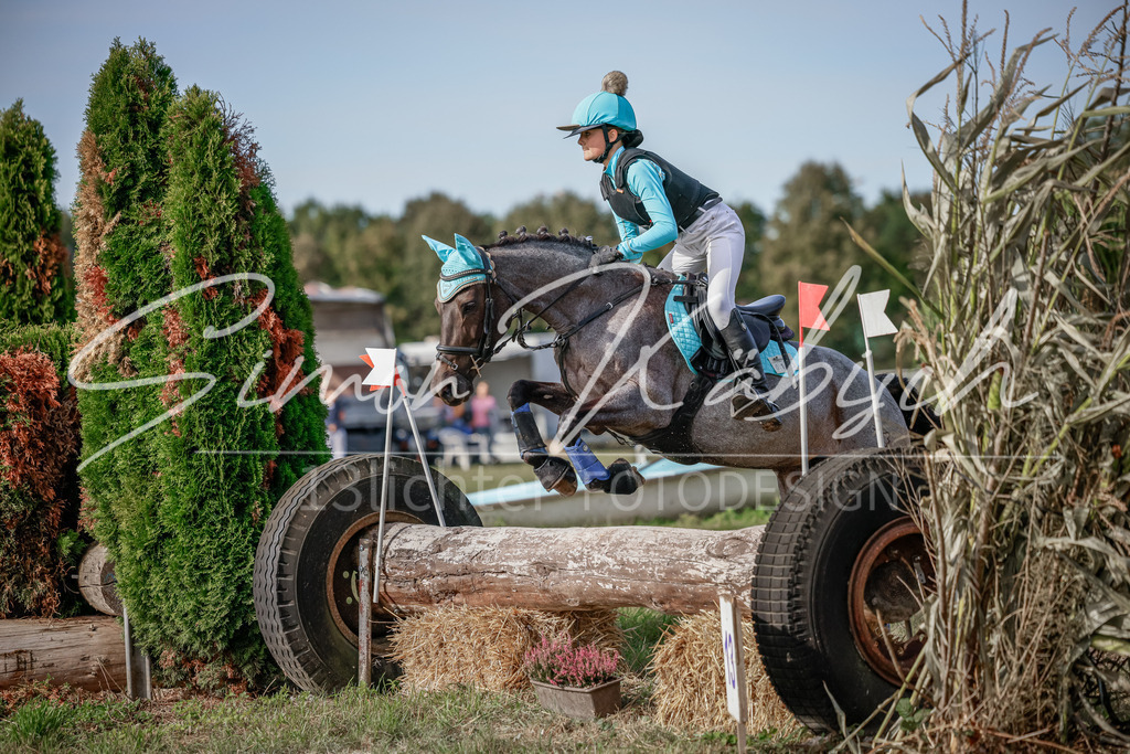 20250907-_3LI9211 | Tierfotografie Pferde, Hunde, Katzen, Haustiere.
Turnierfotografie Reitturniere, Reiten, Springreiten, Dressur in Hanau, dem Main-Kinzig-Kreis und dem Rhein-Main- Gebiet um Frankfurt