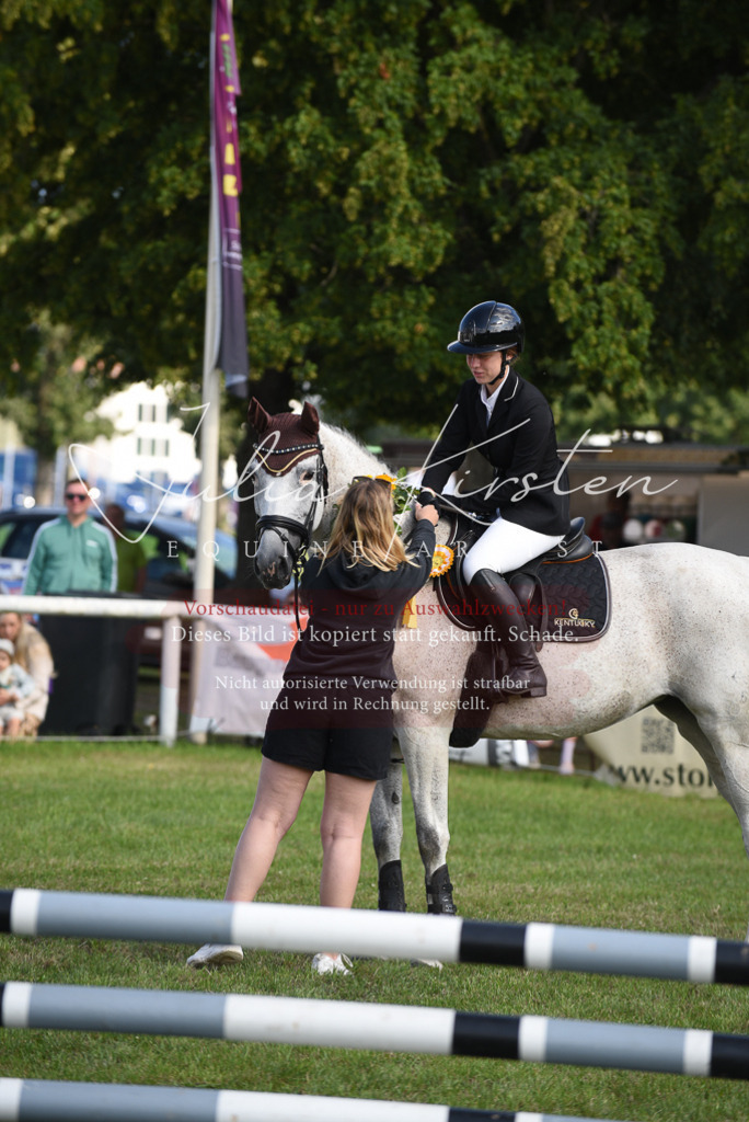 DSC_8960 | Pferde- und Turnierfotografie in Westsachsen. Pferdeportraits, Auftragszeichnungen und intuitive Kunst.