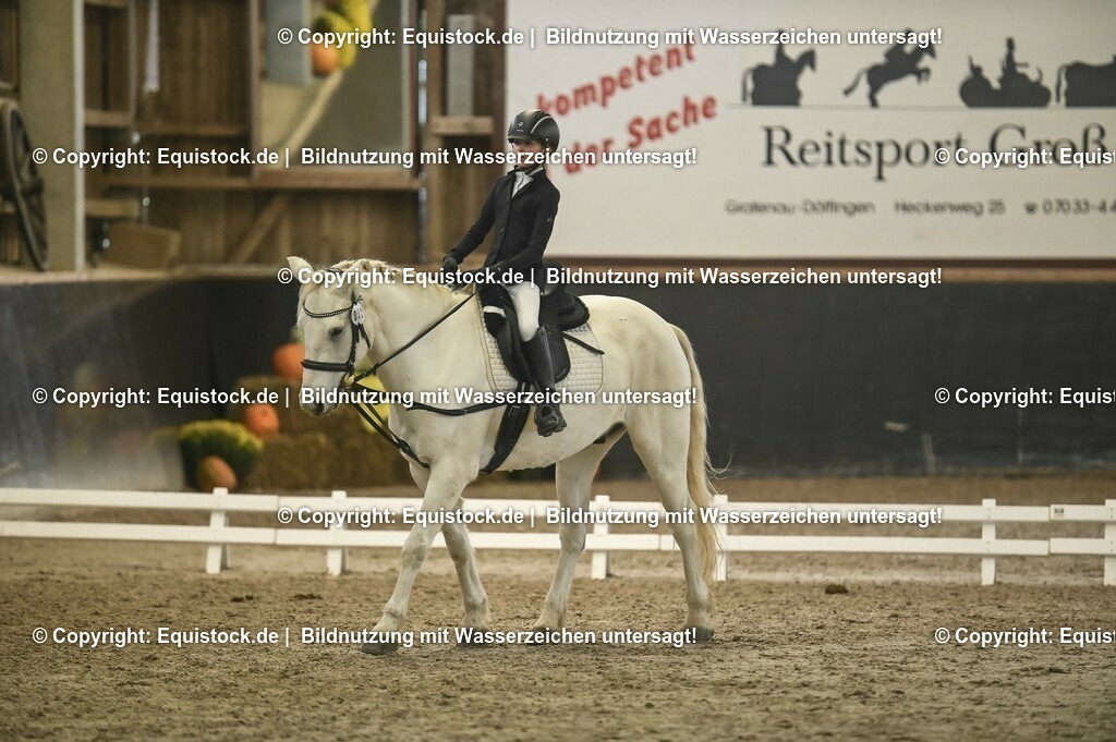 20231029_02_Reiter-WB_Schritt-Trab_Abteilung-03_0032 | Foto: Thomas Hartig