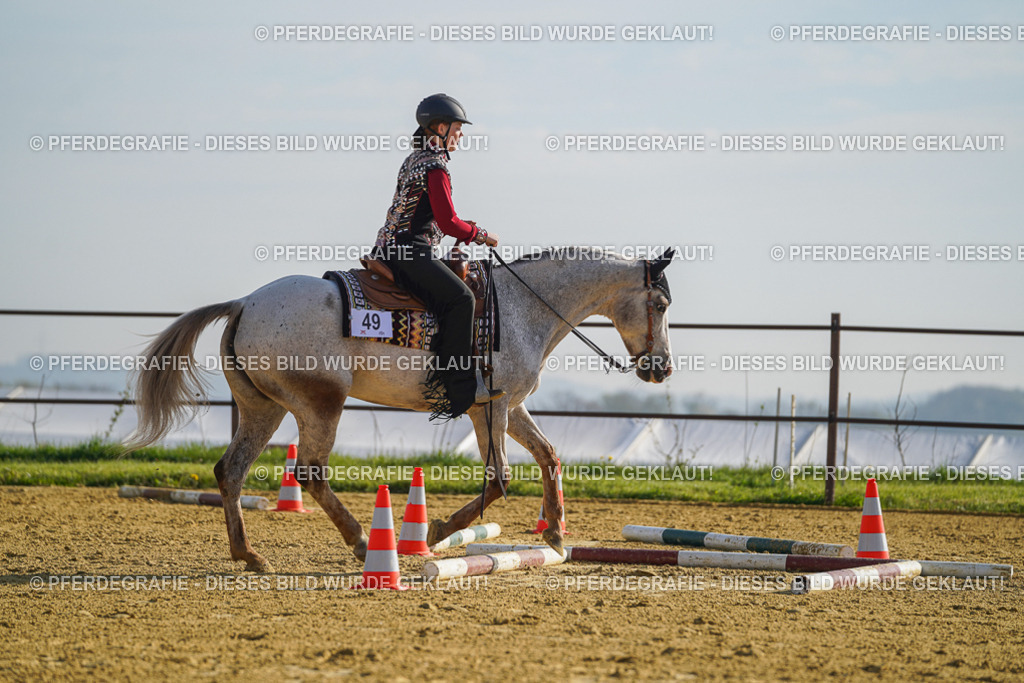 DSC00834 | Pferdegrafie