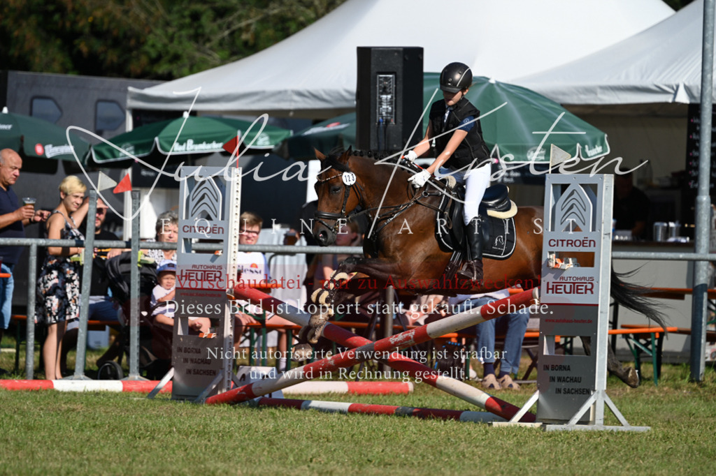 DSC_5231 | Pferde- und Turnierfotografie in Westsachsen. Pferdeportraits, Auftragszeichnungen und intuitive Kunst.