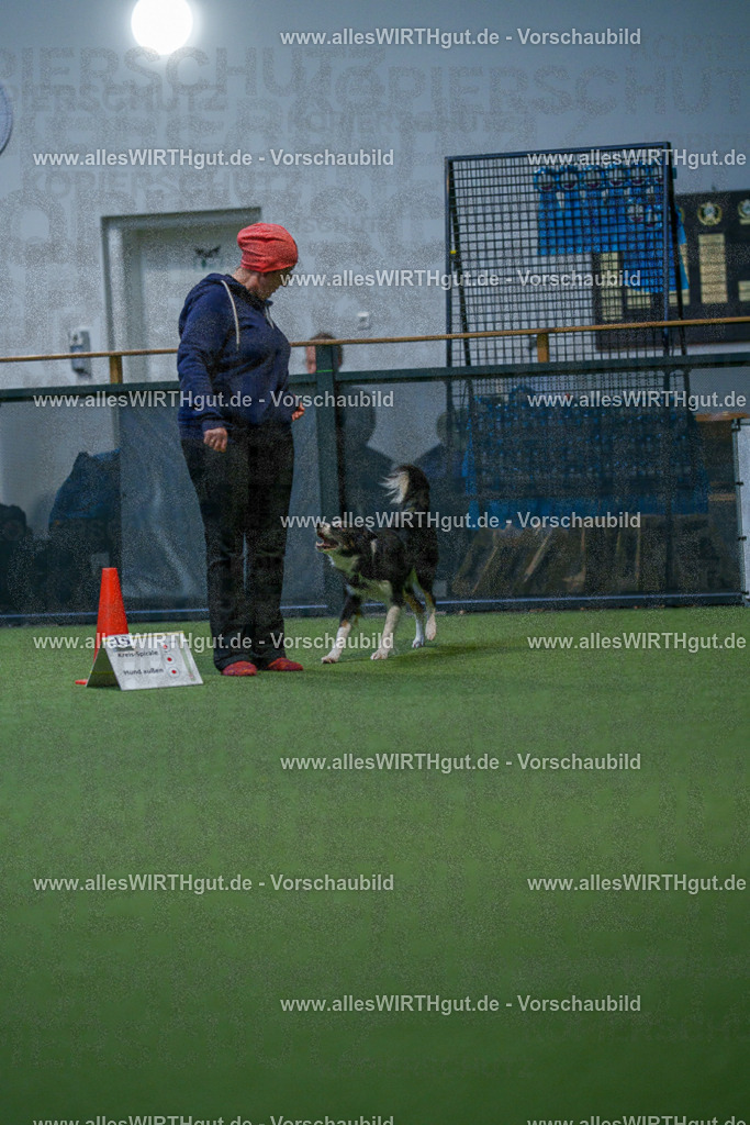 7R502727 | Professionelle Tierfotografie in Mönchengladbach von Daniel Wirth (allesWIRTHgut). Liebevolle & natürliche Bilder von Hunden & Katzen für unvergessliche Erinnerungen.