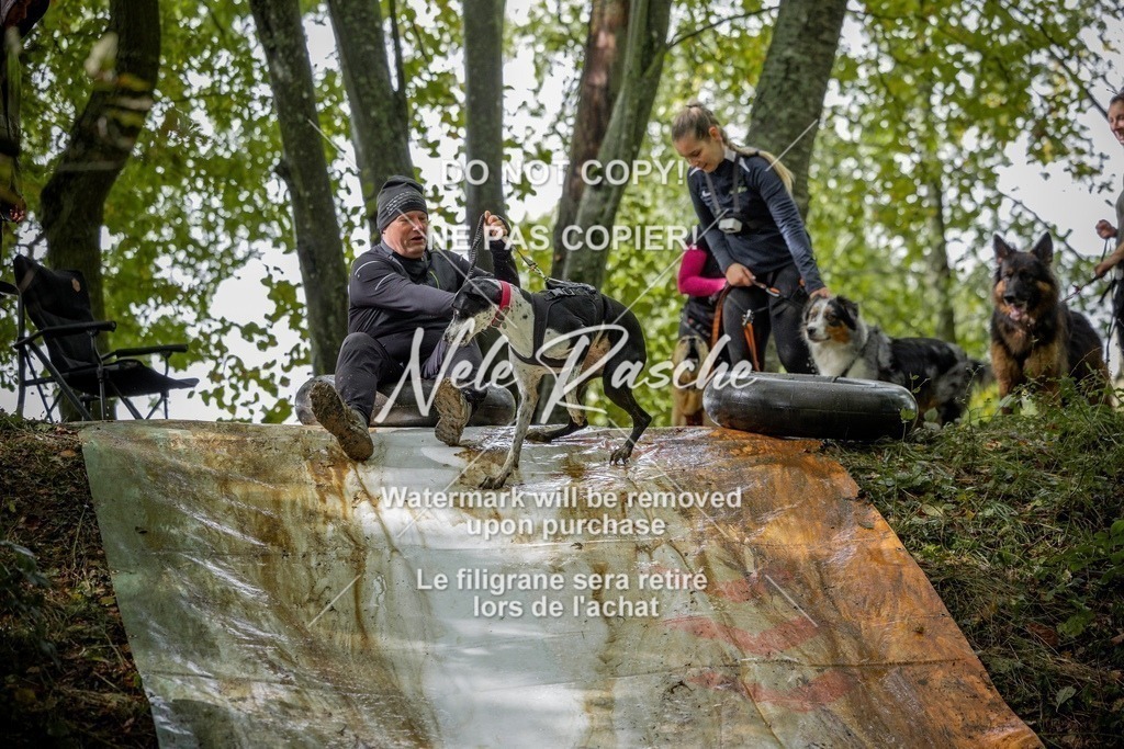 nelerasche_Hunsrück_Sa1430-1500_336-final | nelerasche