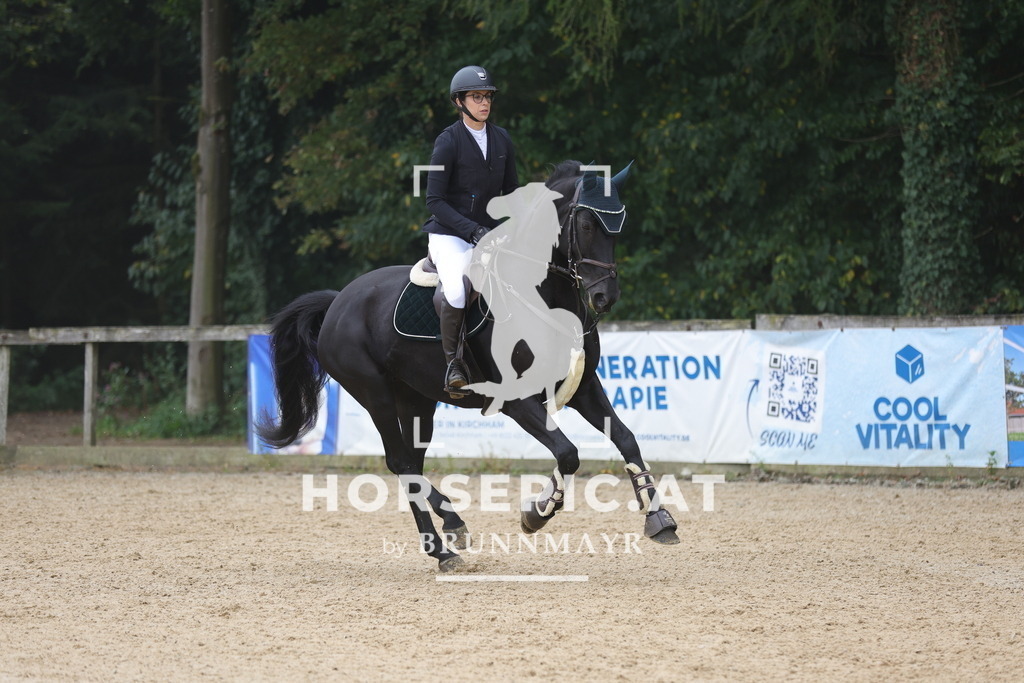 0P6A0861 | Willkommen bei Brunnmayr - Design & Fotografie – Ihrem Spezialisten für Reitturniere und Pferdeveranstaltungen in Oberösterreich, Salzburg und Bayern! Seit über 17 Jahren sind wir leidenschaftlich dabei.
