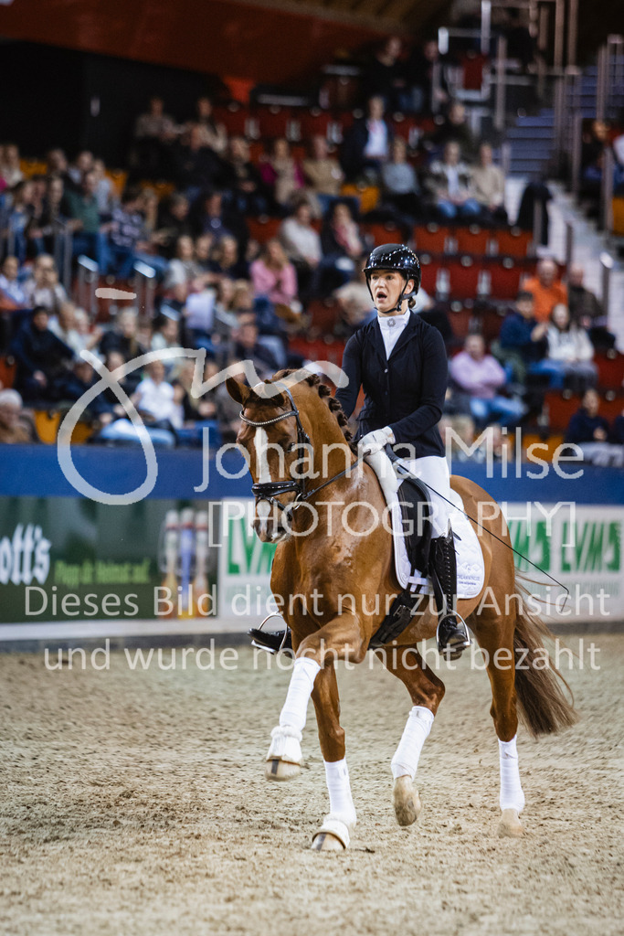 250108_Muenster_Hengstpräsentation-156 | Deine schönsten Turniermomente als professionelle Fotos! Entdecke hochwertige Pferdesport-Fotografie im Online-Shop. Jetzt Fotos finden & bestellen!