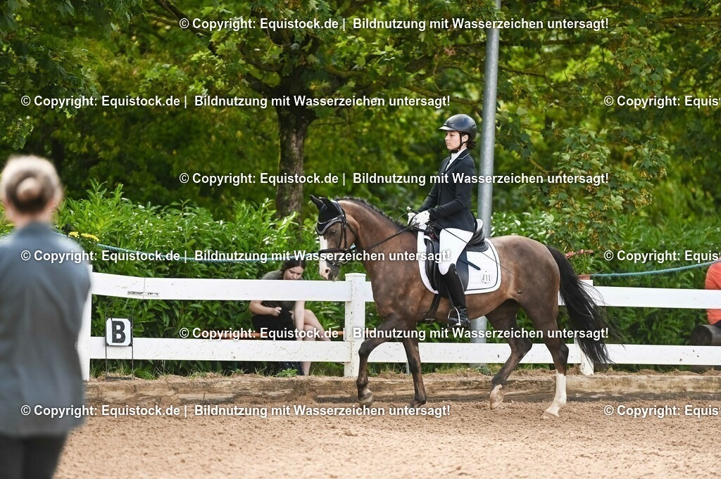 20230716_10-1_Reiter-WB Schritt - Trab - Galopp_0170 | equistock