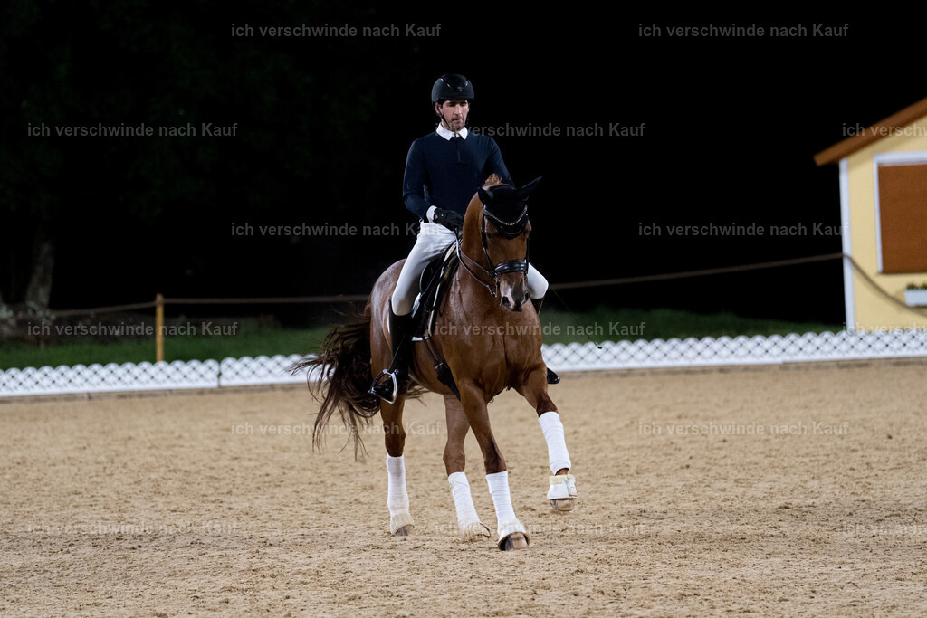FHC2025 Isabell Werth-9951 | working equitationturnier fotograf videograf stoibphotography marixx film working equitation deutschland reitsport turnierfotografie eventfotografie equestrian events
