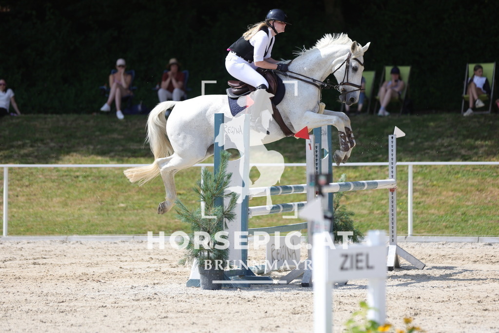 0P6A0664 | Willkommen bei Brunnmayr - Design & Fotografie – Ihrem Spezialisten für Reitturniere und Pferdeveranstaltungen in Oberösterreich, Salzburg und Bayern! Seit über 17 Jahren sind wir leidenschaftlich dabei.