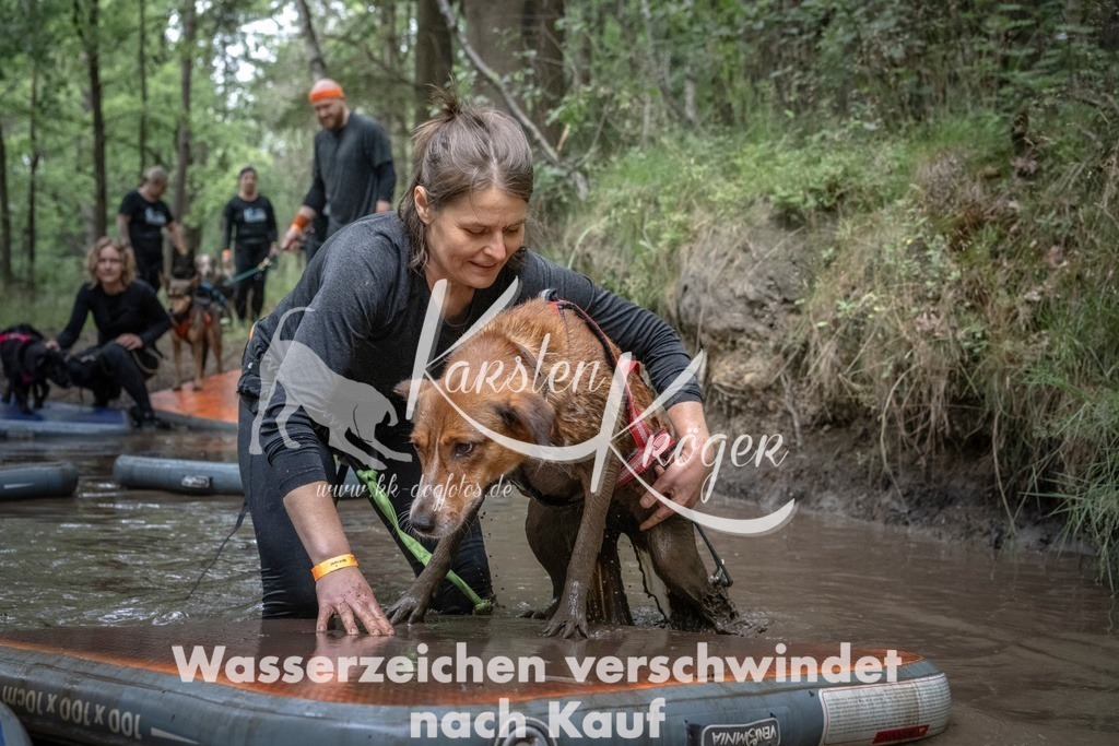 1221_ZZ98681T | kk-dogfotos