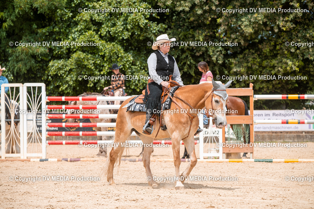 EWP_6333 | dv-media-shop - Realisiert mit Pictrs.com