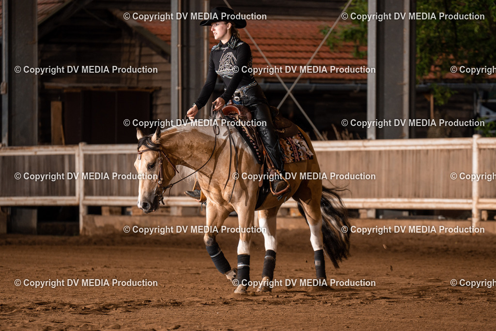 Erbach Tag 3-920 | dv-media-shop - Realisiert mit Pictrs.com