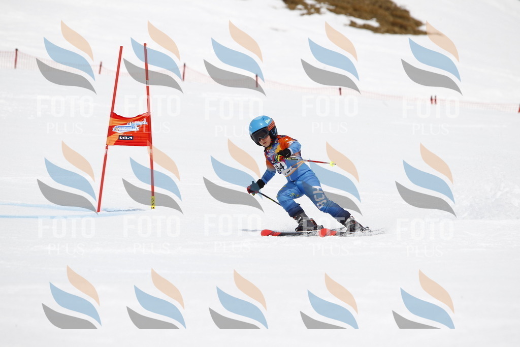 _U3G7109 | holidayphoto