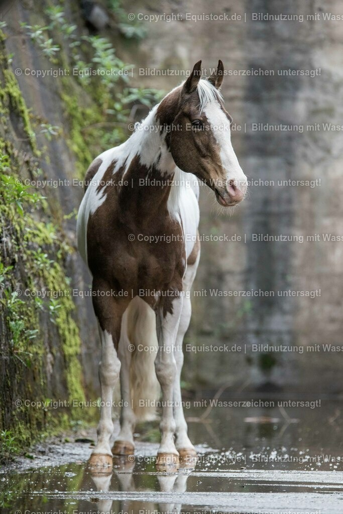 160415_Paint_Horse_in_Industrieanlage_0008 | Foto: Thomas Hartig
