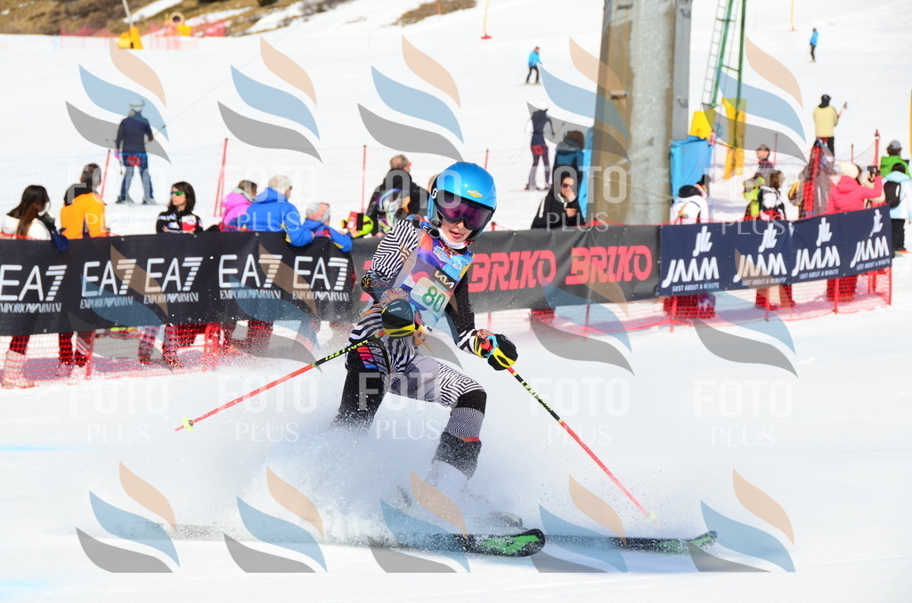 DSC_0497 | holidayphoto