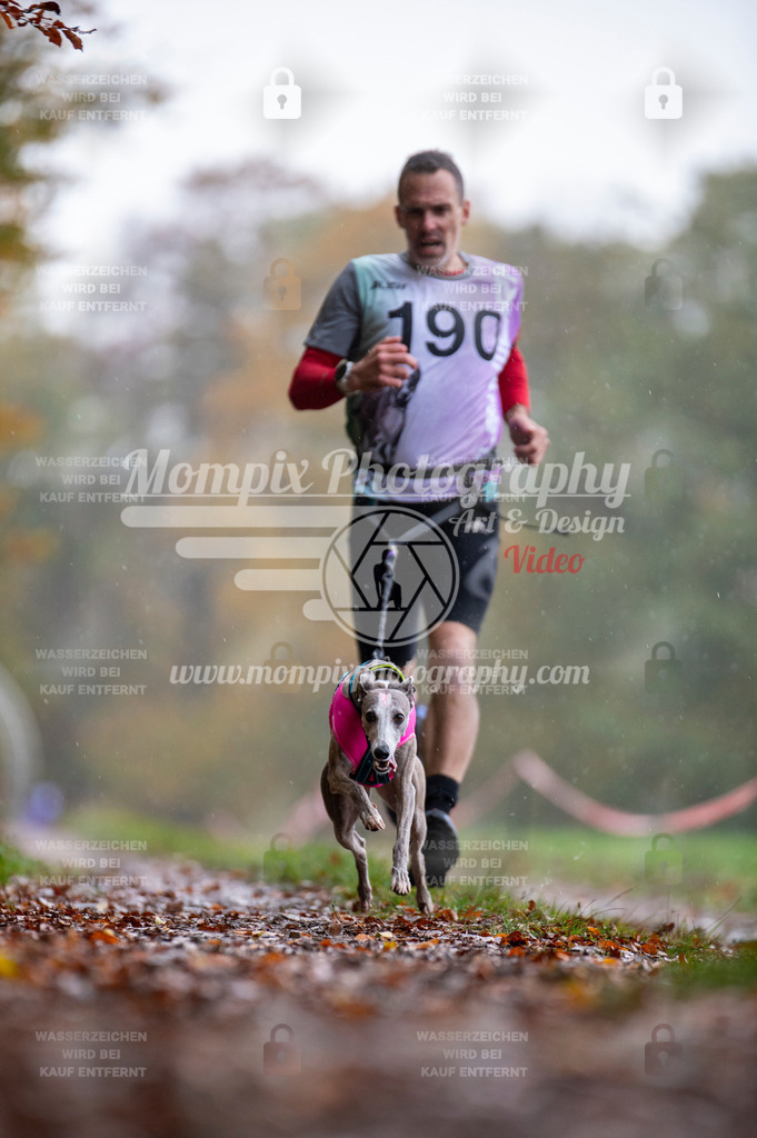DBT_DAKM_SA_4_11_2023_Canicross-60 | PayLife