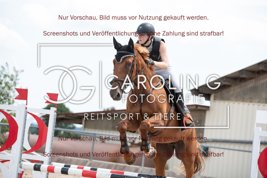 DSC_0588 | Turnierfotografin Carolin Gieschke, Turnierfotografie Carolin G Fotografie, Turnierfotos Kirchheim/Teck, Esslingen, Stuttgart, Bodenseekreis