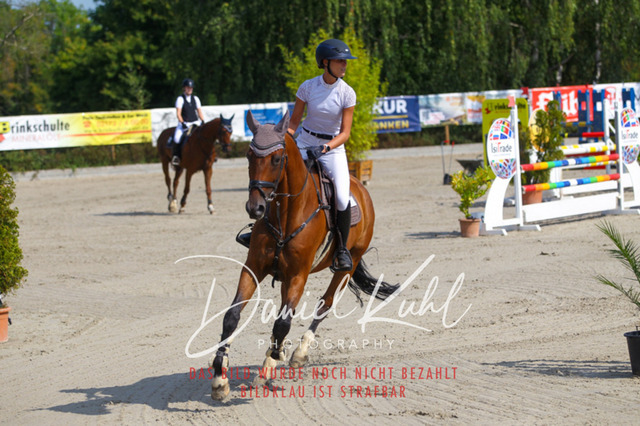 Gut Blee25_Amateuer Stilsprpfg Kl A_0203 | Turniersportfotografie; Pferdefotografie; Dressurfotografie