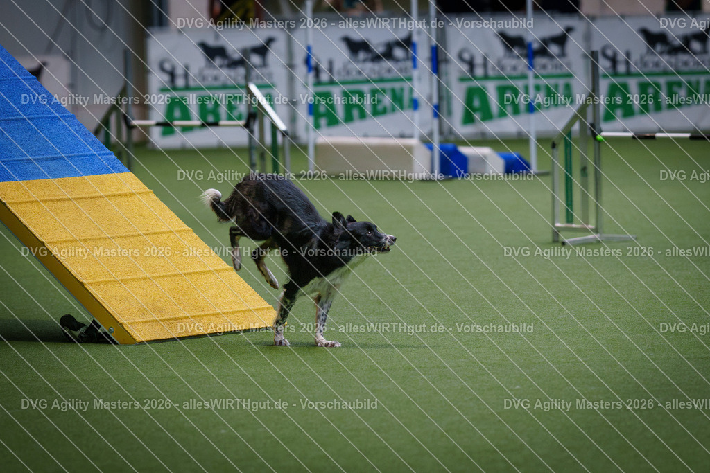 allesWIRTHgut_Tierfotografie-DVG_Agility_Masters_2026-14_29-7R500503 | Professionelle Tierfotografie in Mönchengladbach von Daniel Wirth (allesWIRTHgut). Liebevolle & natürliche Bilder von Hunden & Katzen für unvergessliche Erinnerungen.