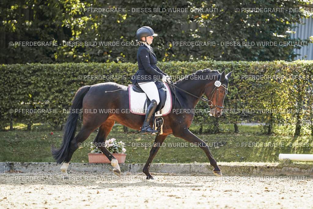 DSC07128 | Pferdegrafie