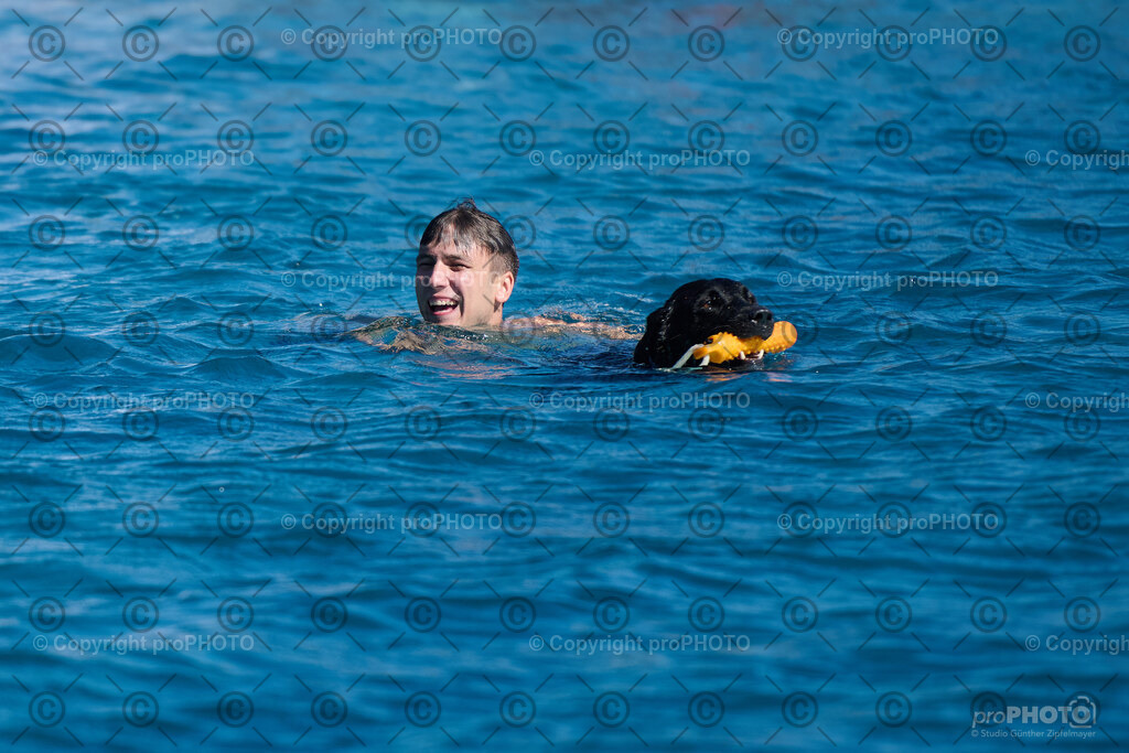 112_202509_4Hundebadetag_NZ9_2470 | proPHOTO - Realisiert mit Pictrs.com