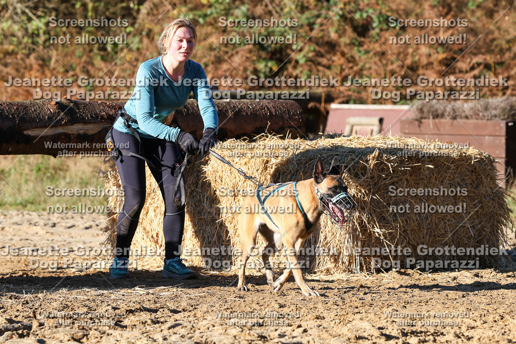 Dog Paparazzi - Strongdog 10-25-1553 | Dog Paparazzi Jeanette Grottendiek Fotografie & Videografie - Realisiert mit Pictrs.com