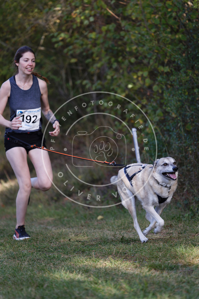 0L8A5672 | Hundefotografie, Tierfotograf, Pfotenfotografie, Fotoshooting Hund, Hunde Portrait, Hundesport, Hundeportraits, Heideshooting, Hunde, Sportfotograf, Hundefotograf, Turnierhundsport, THS,  - Realisiert mit Pictrs.com