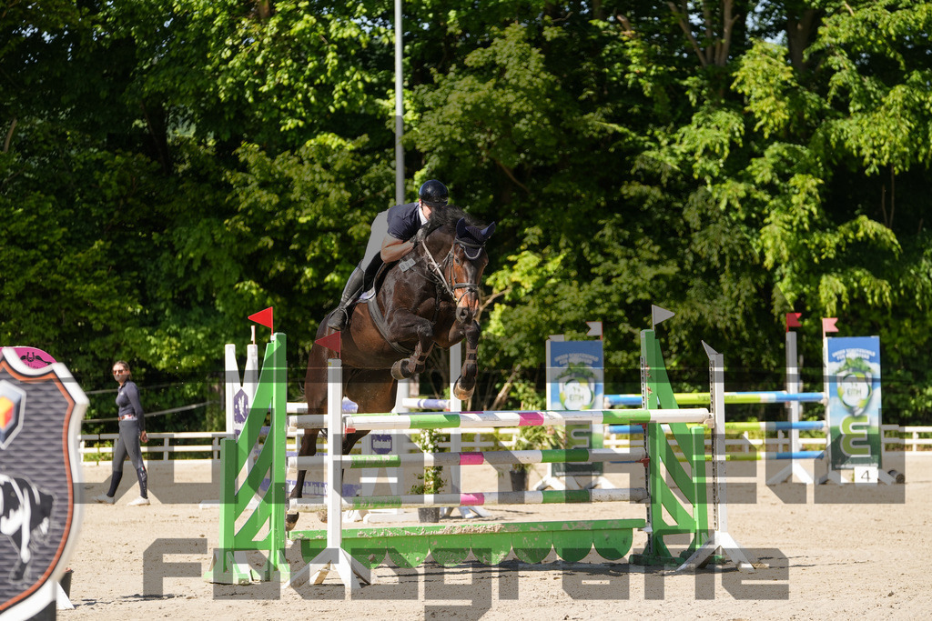 DSC02367 | Julian Held Fotografie - Realisiert mit Pictrs.com