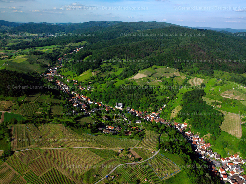 2598030 | Das Hambacher Tal bei Heppenheim mit seinen Weinbergen