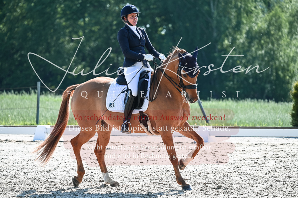 20230514_JK-Röhrsdorf-18-288 | Pferde- und Turnierfotografie in Westsachsen. Pferdeportraits, Auftragszeichnungen und intuitive Kunst.