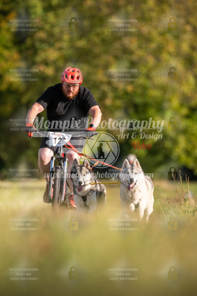 CDLBDB_15_10_2023_Dimanche-324 | mompixphotography