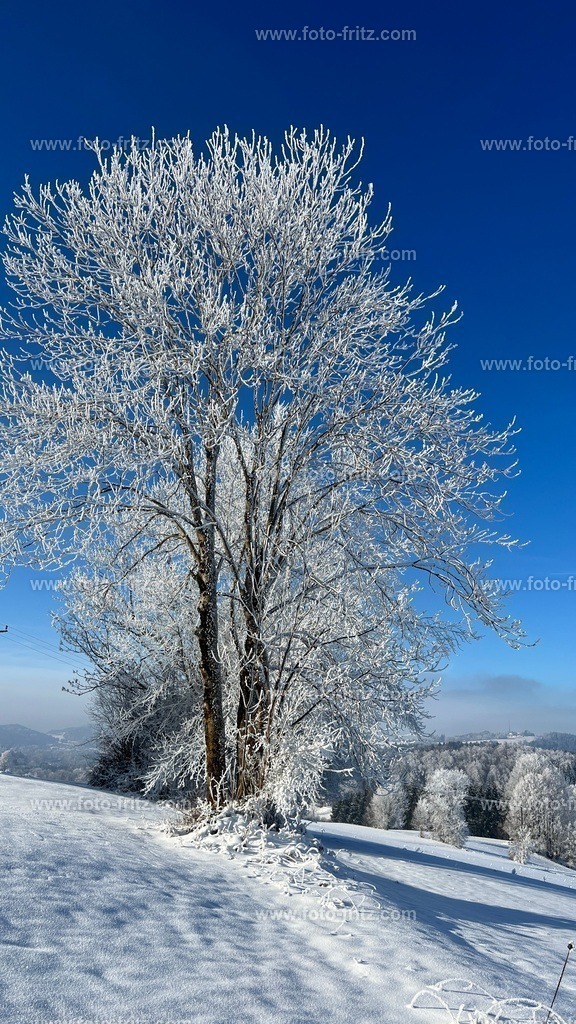 IMG_E6757 | www.foto-fritz.com - Realisiert mit Pictrs.com