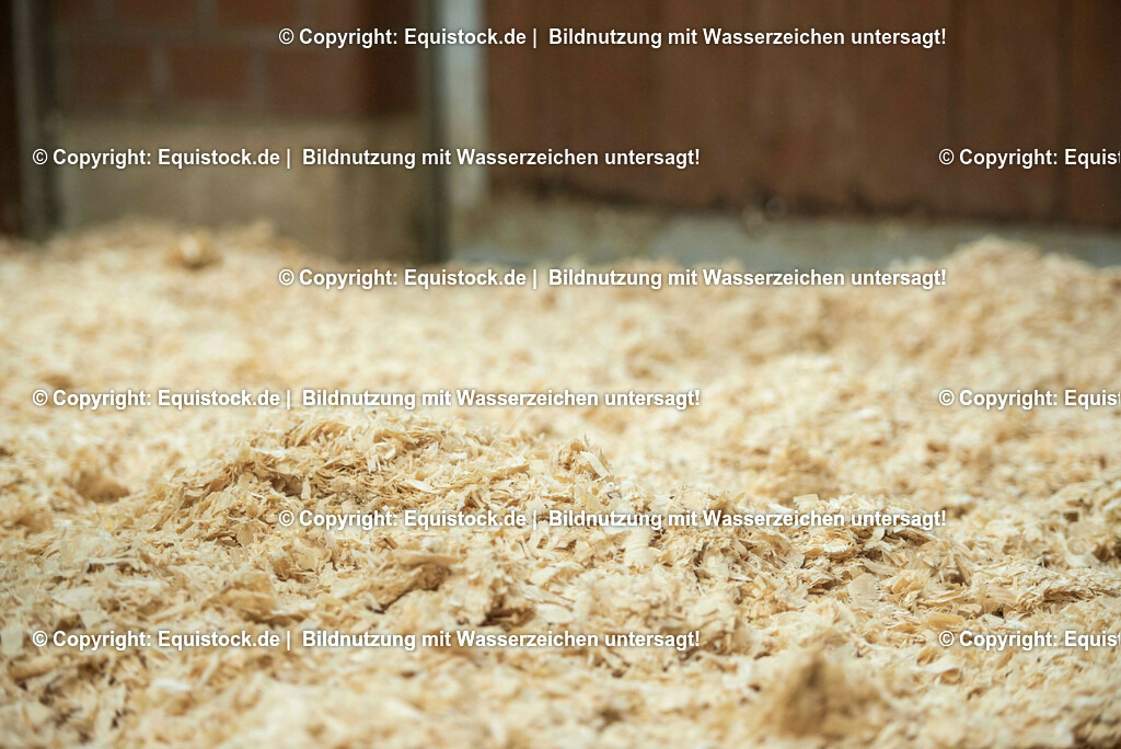 20190409_Einstreu_in_Pferdebox_0054 | Foto: Thomas Hartig