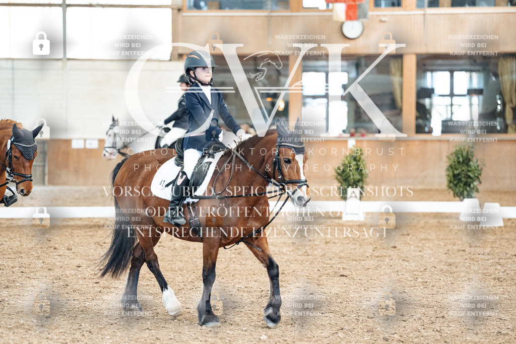 CK900611 | Turnierfotografie Pferdefotografie Trier Rheinland-Pfalz Pferdesport Reitsport Tierfotografie Sportfotografie Pferdevideo Pferdevideografie Equestrianvideography equestrianphotography  - Realisiert mit Pictrs.com