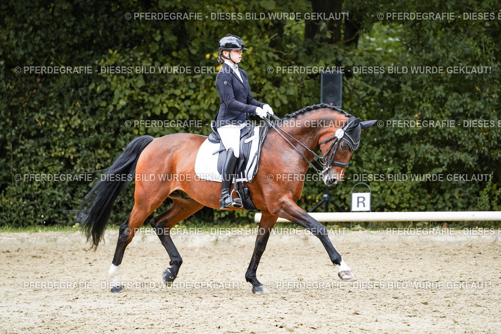 DSC07732 | Pferdegrafie