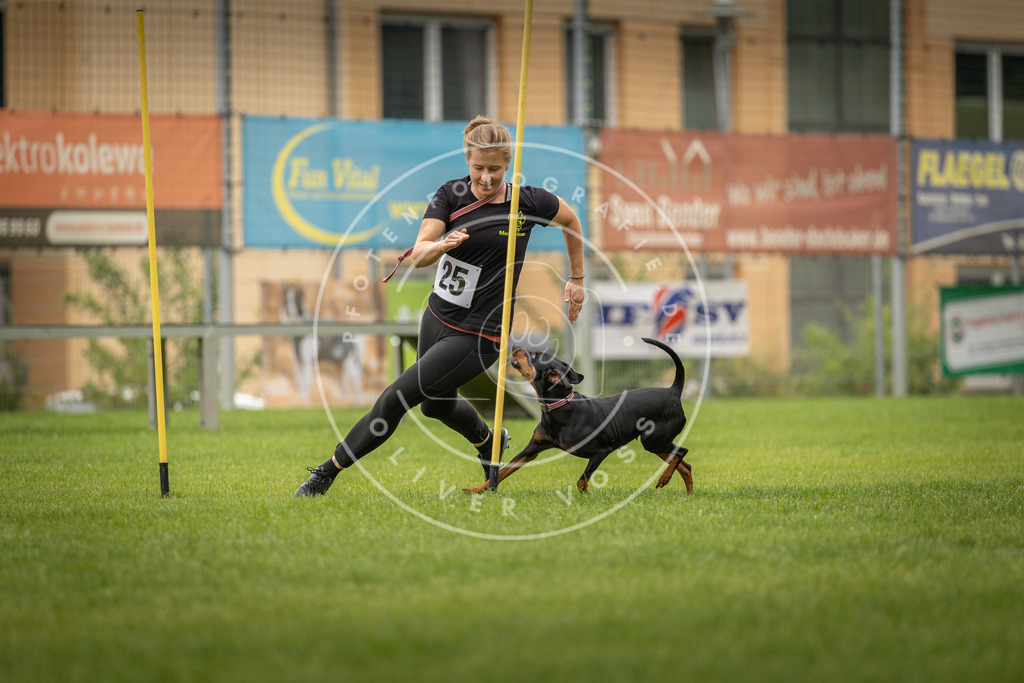 Pfotenfotografie_DV3A8007 | Hundefotografie, Tierfotograf, Pfotenfotografie, Fotoshooting Hund, Hunde Portrait, Hundesport, Hundeportraits, Heideshooting, Hunde, Sportfotograf, Hundefotograf, Turnierhundsport, THS,  - Realisiert mit Pictrs.com