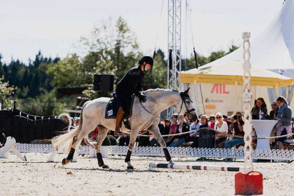 Svea13FHC2025-08773 | working equitationturnier fotograf videograf stoibphotography marixx film working equitation deutschland reitsport turnierfotografie eventfotografie equestrian events