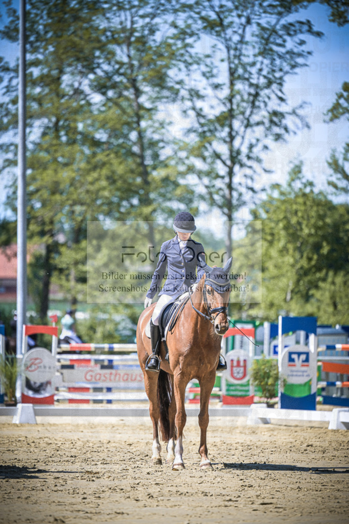 DOS_8529 | Entdecke hochwertige Reitturnierfotos von Foto Oger. Professionell, emotional und authentisch – jetzt Lieblingsmomente im Shop bestellen.Deutschlandweite Turnierfotografie. - Realisiert mit Pictrs.com