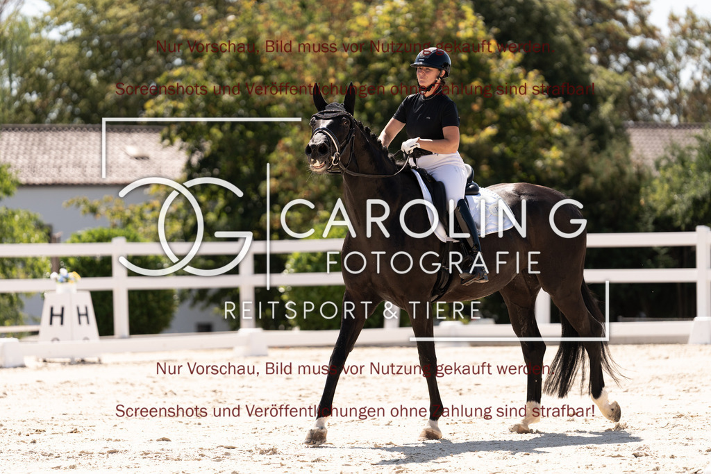 DSC05160 | Dressurturnier_Göppingen_2026, Saliaris