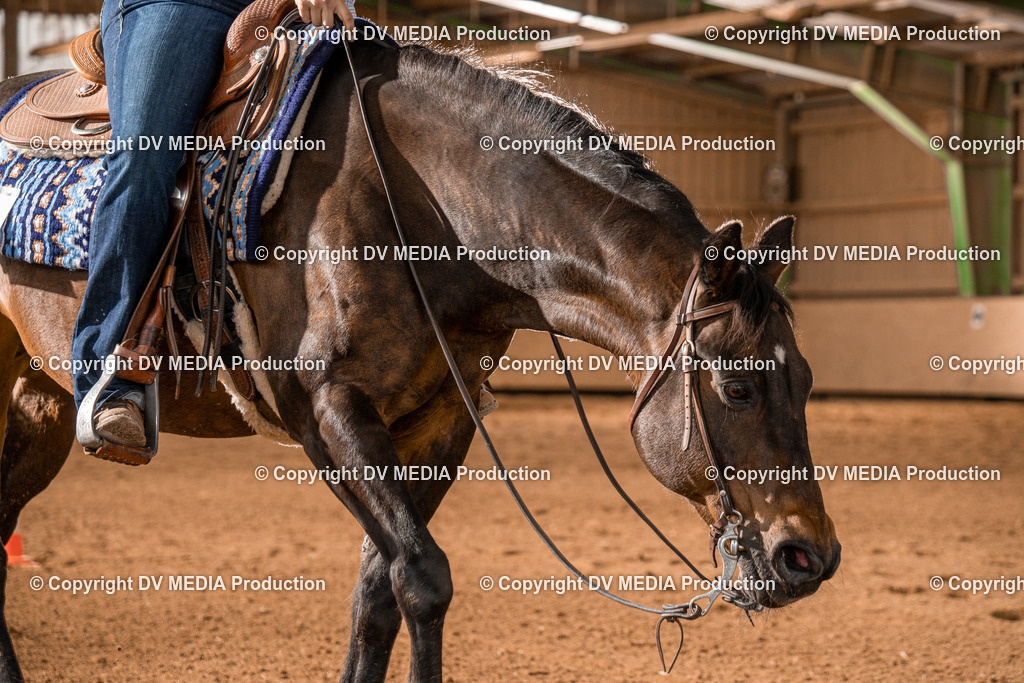 BAL00634 | dv-media-shop - Realisiert mit Pictrs.com