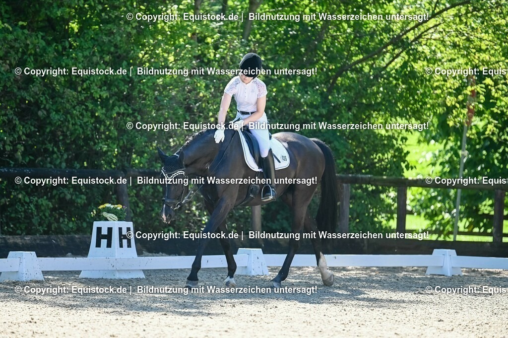 20230908_06_Dressur-L-Trense_0286 | equistock