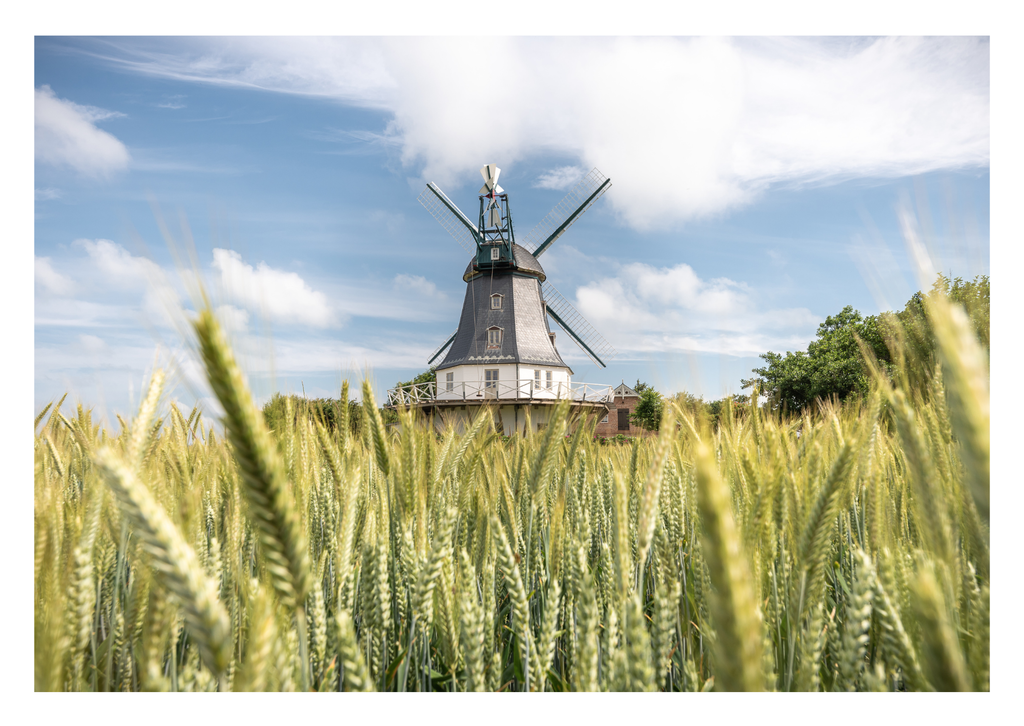 Motiv 55 | Eilun-Art-Fotografie Levke Martens, ihre Fotografin für Immobilien- und Landschaftsfotografie auf Föhr, Föhrer Motive als Poster, Leinwand, hinter Acrylglas oder stelle dir deinen eigenen Monatskalender zusammen, mit nur einem Klick