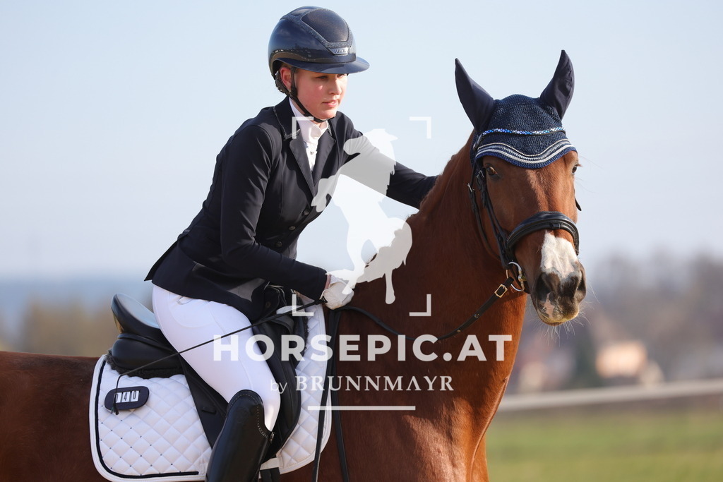 0P6A5961 | Willkommen bei Brunnmayr - Design & Fotografie – Ihrem Spezialisten für Reitturniere und Pferdeveranstaltungen in Oberösterreich, Salzburg und Bayern! Seit über 17 Jahren sind wir leidenschaftlich dabei.
