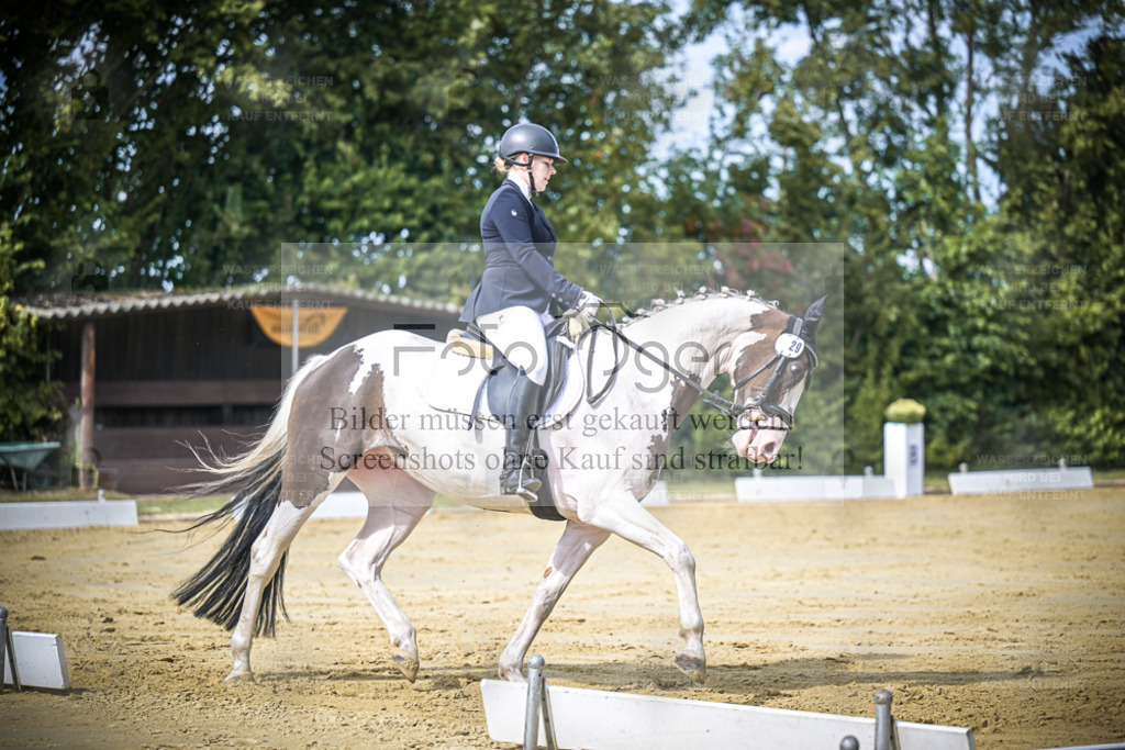 DOS_5002 | Entdecke hochwertige Reitturnierfotos von Foto Oger. Professionell, emotional und authentisch – jetzt Lieblingsmomente im Shop bestellen. - Realisiert mit Pictrs.com