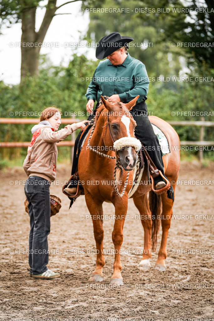 DSC04834 | Pferdegrafie