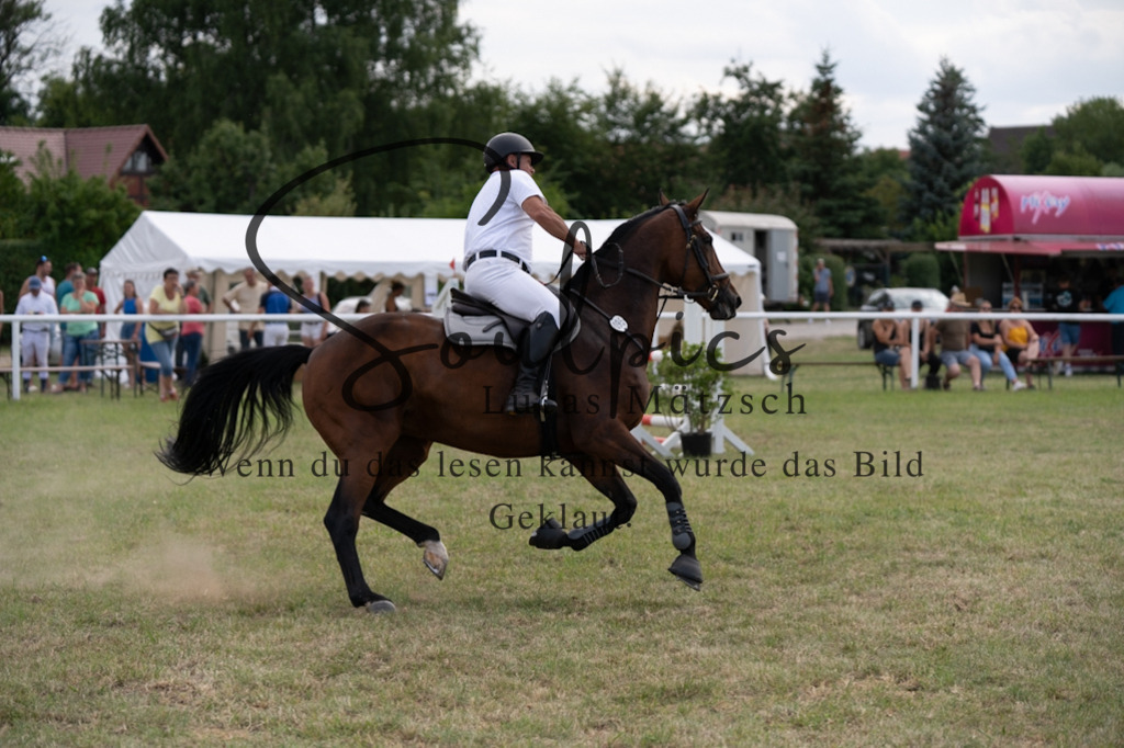 A7V02984 | Pferdefotograf