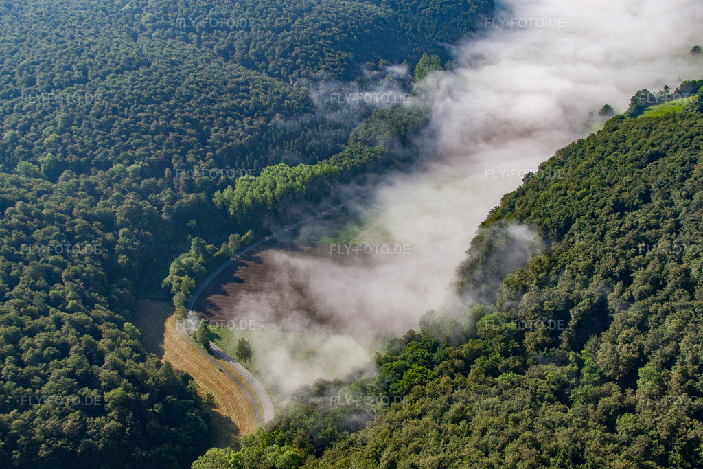 Luftbild: Waldlichtung im Nebel im Ortsteil Ovenhausen in Höxter im Bundesland Nordrhein-Westfalen in Deutschland. Foto: IMG_65214.jpg vom 24.05.2014 durch Werner Riehm/FLY-FOTO.de
