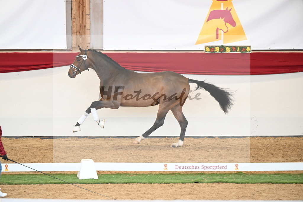Kat.-Nr. 67 v. Fürstenball_Niehe_2250541 | hf-fotografie - Realisiert mit Pictrs.com